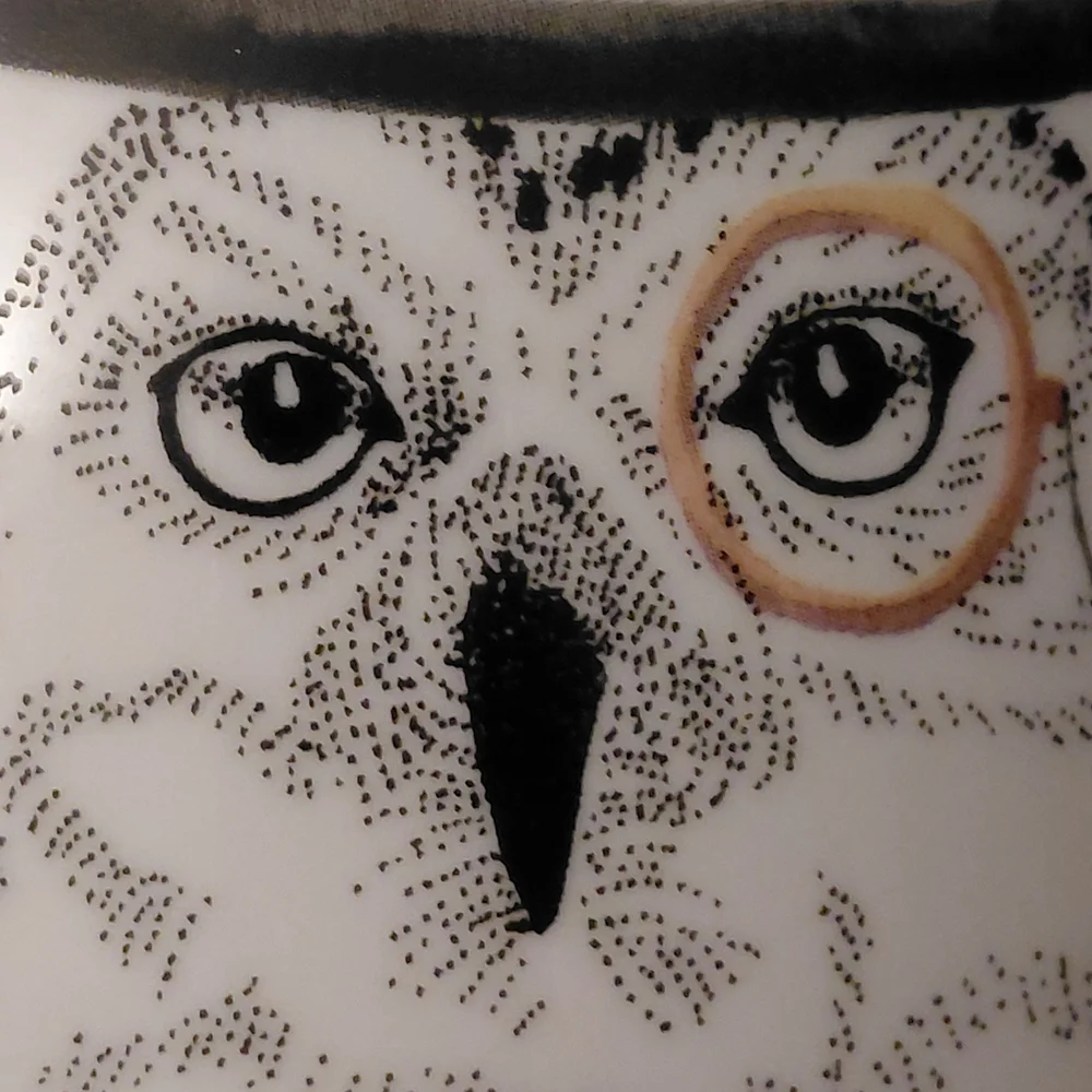Vtg Pier 1 Wise Owl Mug 22 Oz.